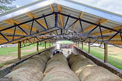 3147 Old Hwy 64W, Warne, NC 28909 - Photo 53