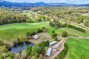 3147 Old Hwy 64 W, Warne, NC 28909 - Photo 3