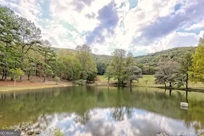 3147 Old Hwy 64W, Warne, NC 28909 - Photo 67