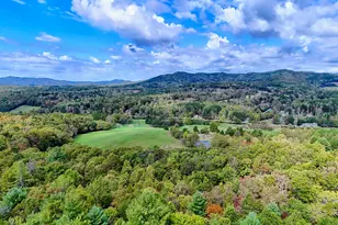 3147 Old Hwy 64 W, Warne, NC 28909 - Photo 89