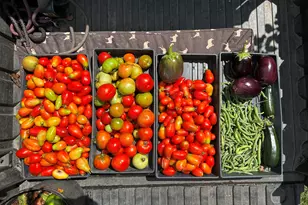 3147 Old Hwy 64 W, Warne, NC 28909 - Photo 65