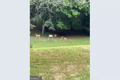 3147 Old Hwy 64W, Warne, NC 28909 - Photo 97