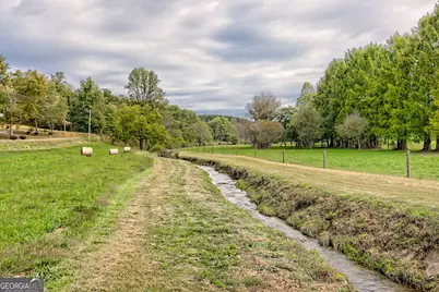3147 Old Hwy 64W, Warne, NC 28909 - Photo 91