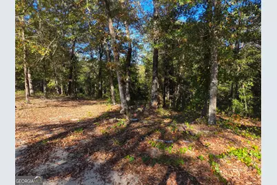 5771 Rogers Road, Lizella, GA 31052 - Photo 5