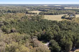 1579 Shoal Creek Rd, Colbert, GA 30628 - Photo 39