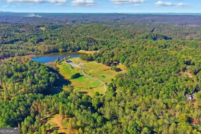 1907 John Call Road, Talking Rock, GA 30175 - Photo 41