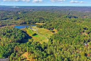 1907 John Call Rd, Talking Rock, GA 30175 - Photo 41