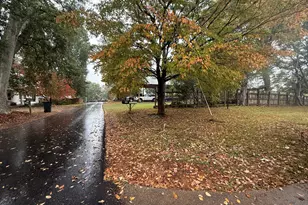 145 Goldust Ave, Clarkesville, GA 30523 - Photo 17