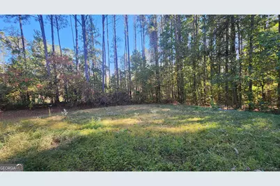 715 Earl North Road, Newnan, GA 30263 - Photo 19