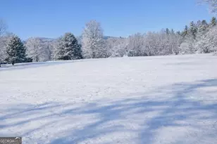 2471 High River Rd, Hiawassee, GA 30546 - Photo 3