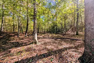 2471 High River Rd, Hiawassee, GA 30546 - Photo 37