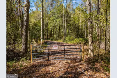 0 Hog Liver Road, Carrollton, GA 30117 - Photo 1