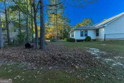 10990 Clearwater Drive, Hampton, GA 30228 - Photo 41