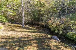 94 Butternut Creek Rd, Blairsville, GA 30512 - Photo 67