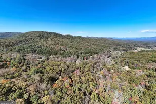 3008 Smyrna Rd, Young Harris, GA 30582 - Photo 65