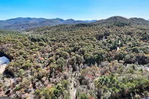 3008 Smyrna Rd, Young Harris, GA 30582 - Photo 67