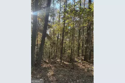 8839 Watkins Mill Road, Winston, GA 30187 - Photo 3