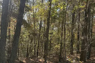 8839 Watkins Mill Rd, Winston, GA 30187 - Photo 3