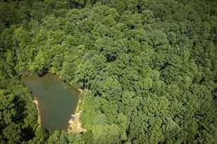 125 Sang Springs Trail, Cleveland, GA 30528 - Photo 9