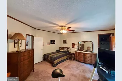 40 David Powell Road, Sparta, GA 31087 - Photo 29