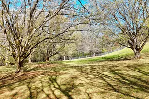 257 Brandus Dr, Hayesville, NC 28904 - Photo 57