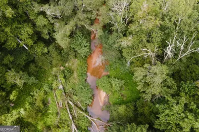 295 Blue Heron Drive, Athens, GA 30605 - Photo 61