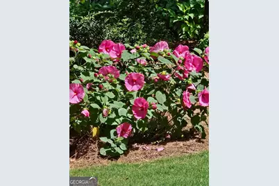 295 Blue Heron Drive, Athens, GA 30605 - Photo 49