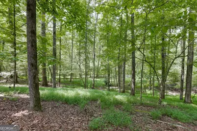 295 Blue Heron Drive, Athens, GA 30605 - Photo 47