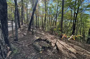 0 Peach Ln, Cherrylog, GA 30522 - Photo 1