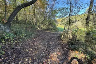 0 Saffron Ln, Blue Ridge, GA 30513 - Photo 1