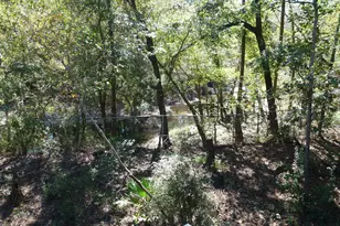 352 Riverside Dr, Claxton, GA 30417 - Photo 23