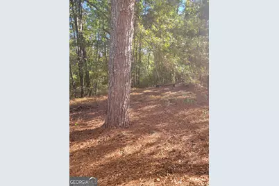 3063 Ga Hwy 120, Tallapoosa, GA 30176 - Photo 15