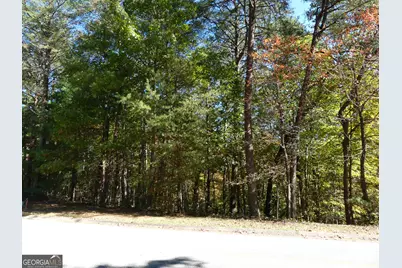 0 Zeppelin Strasse #LOT 78, Helen, GA 30545 - Photo 5