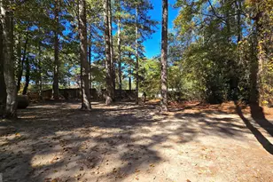 377 Dock Hyde Rd, Carrollton, GA 30116 - Photo 35