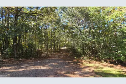 377 Dock Hyde Road, Carrollton, GA 30116 - Photo 15