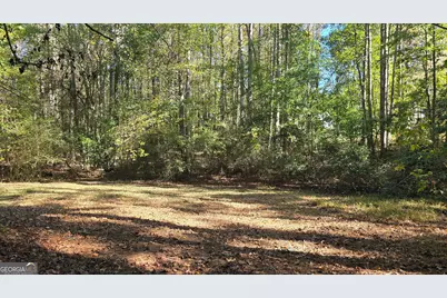 377 Dock Hyde Road, Carrollton, GA 30116 - Photo 23