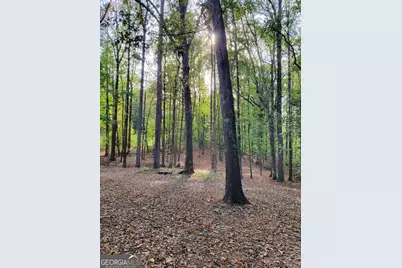 5406 Megan Road, Stone Mountain, GA 30088 - Photo 11