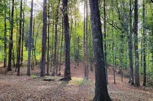 5406 Megan Rd, Stone Mountain, GA 30088 - Photo 11