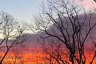 916 Arbor Dr, Lakemont, GA 30552 - Photo 19