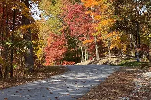 916 Arbor Dr, Lakemont, GA 30552 - Photo 5