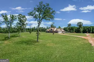 357 Old Driver Rd, Whitesburg, GA 30185 - Photo 25