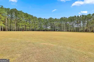 110 Whistle Pine Farm Dr, Senoia, GA 30276 - Photo 53