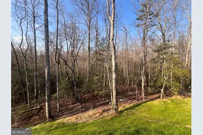 329 Twisting Ridge Trail, Demorest, GA 30535 - Photo 31