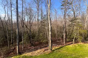 329 Twisting Ridge Trail, Demorest, GA 30535 - Photo 31