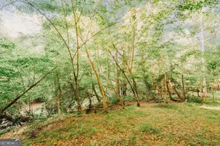 329 Twisting Ridge Trail, Demorest, GA 30535 - Photo 33