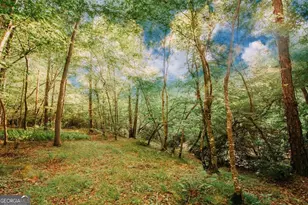 329 Twisting Ridge Trail, Demorest, GA 30535 - Photo 35