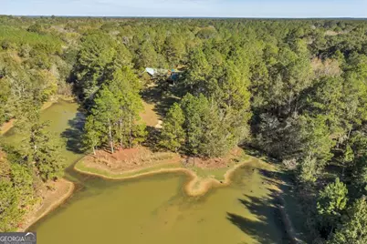 874 Mistletoe Road, Abbeville, GA 31001 - Photo 41