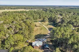 874 Mistletoe Rd, Abbeville, GA 31001 - Photo 65