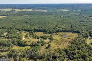 874 Mistletoe Rd, Abbeville, GA 31001 - Photo 55