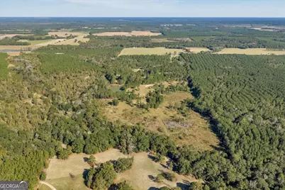 874 Mistletoe Road, Abbeville, GA 31001 - Photo 53